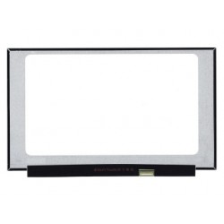 Display LCD Schermo 15,6 B156XTN08.1 connettore 30 pin